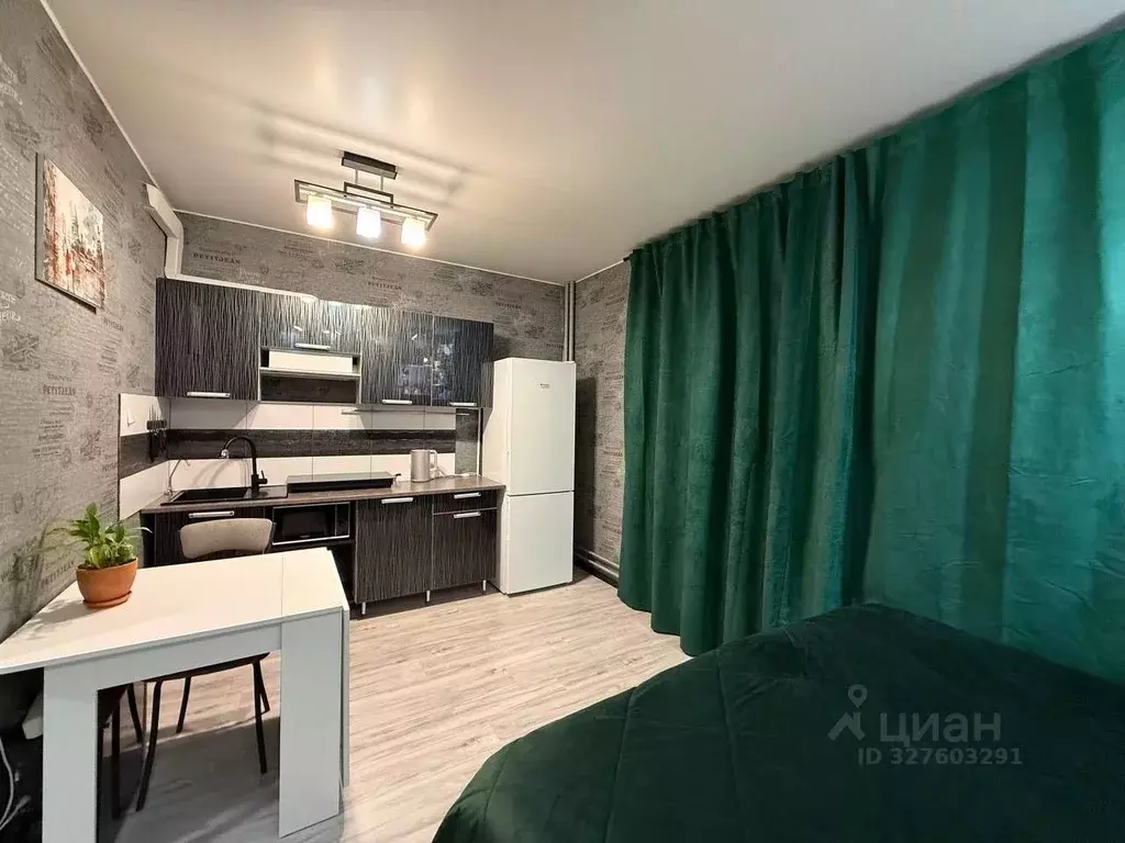 Студия Санкт-Петербург просп. Королева, 69 (26.5 м) - Фото 2