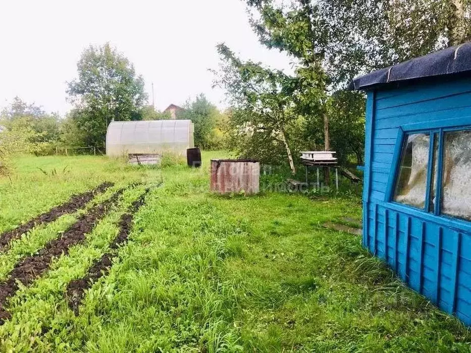 Участок в Новгородская область, Новгородский муниципальный район, ... - Фото 1