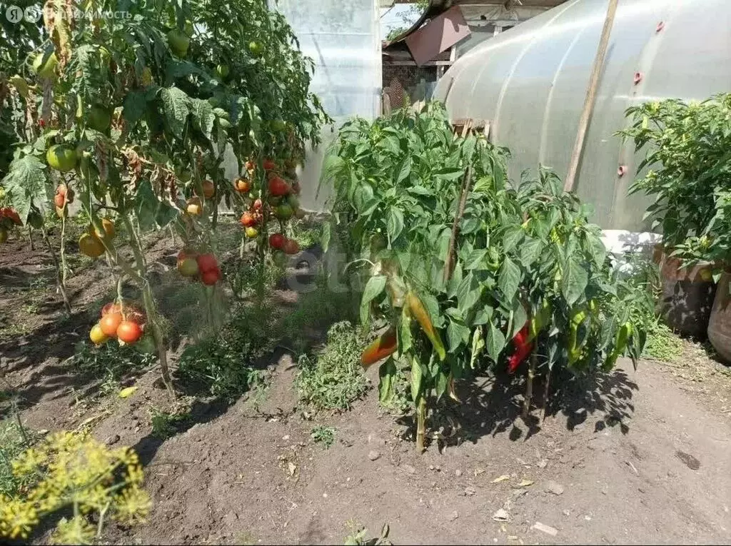 Дом в Троицк, Пролетарская улица (42.5 м) - Фото 2