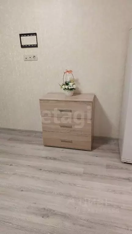 Студия Московская область, Ленинский городской округ, Лопатино пгт ... - Фото 2