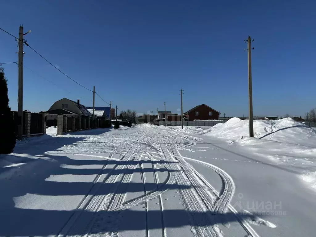 Участок в Воронежская область, Борисоглебский городской округ, с. ... - Фото 1