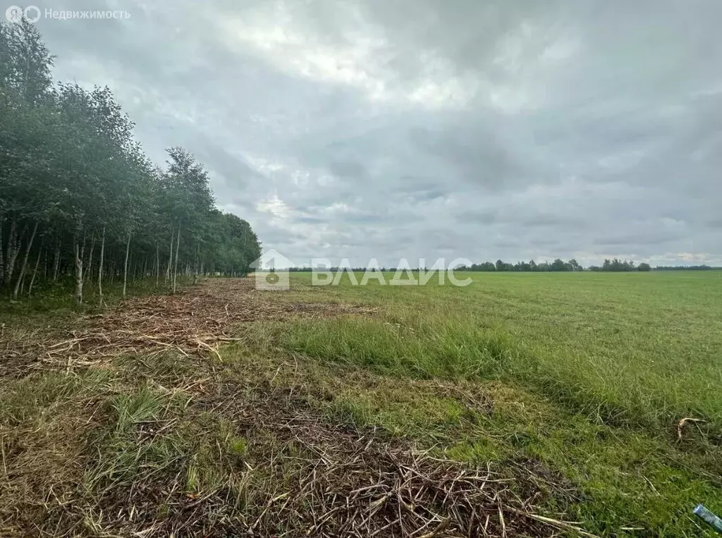 Участок в Павловск, коттеджный посёлок Павлов Скай (9.45 м) - Фото 0