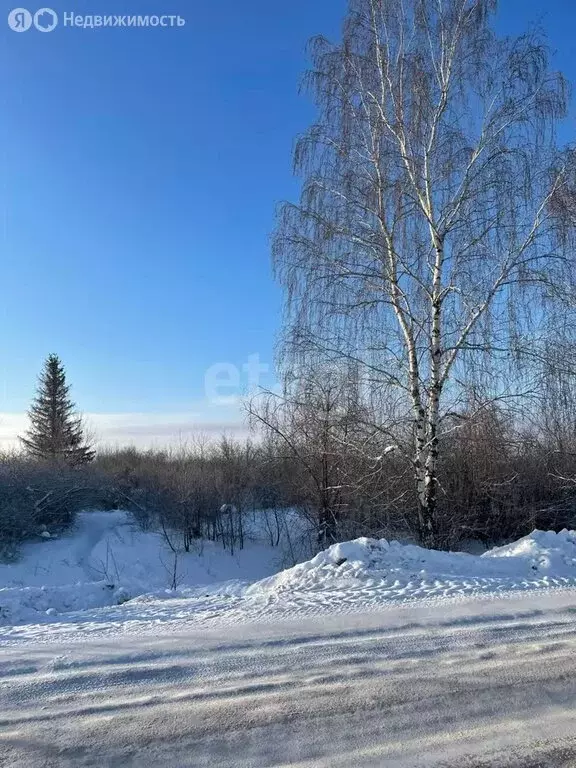 Участок в Альметьевск, улица Загита Гамирова (5.5 м) - Фото 1