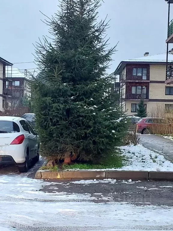 1-к кв. Ленинградская область, Всеволожский район, д. Юкки ул. ... - Фото 1