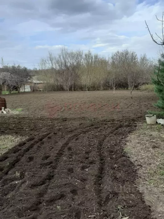 Участок в Ростовская область, Октябрьский район, Красюковская сл. ... - Фото 1