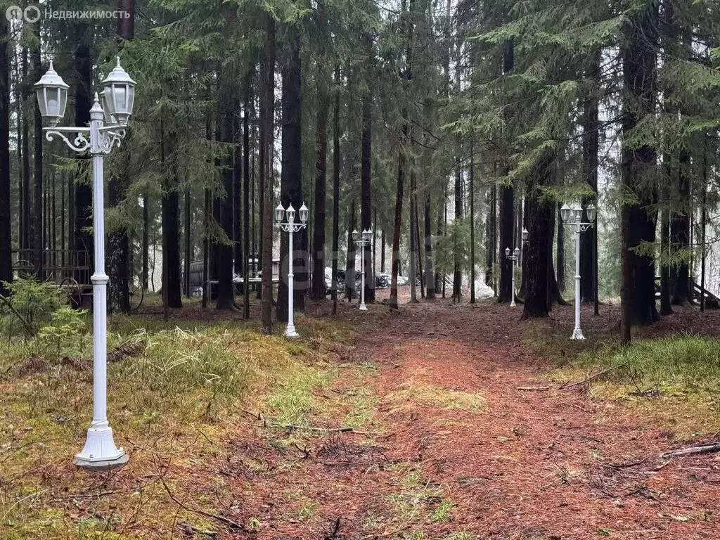 Участок в посёлок Репино, СНТ Ленгипроречтранс (55.7 м) - Фото 2