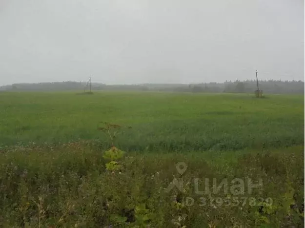 Участок в Московская область, Дмитровский муниципальный округ, с. ... - Фото 0
