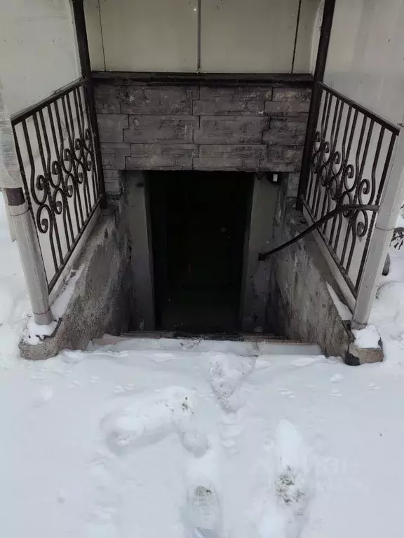 Помещение свободного назначения в Новосибирская область, Новосибирск ... - Фото 2