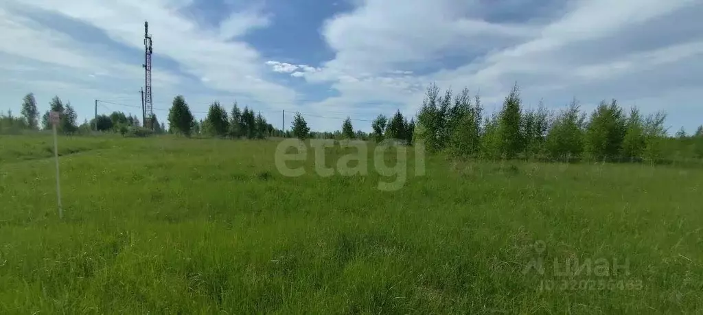 Участок в Костромская область, Нерехта ул. Егорьевская (9.26 сот.) - Фото 0
