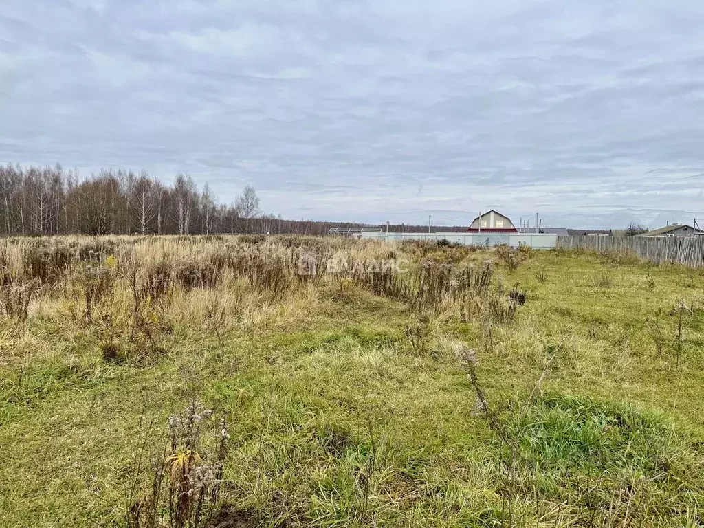 Участок в Нижегородская область, Дальнеконстантиновский муниципальный ... - Фото 2