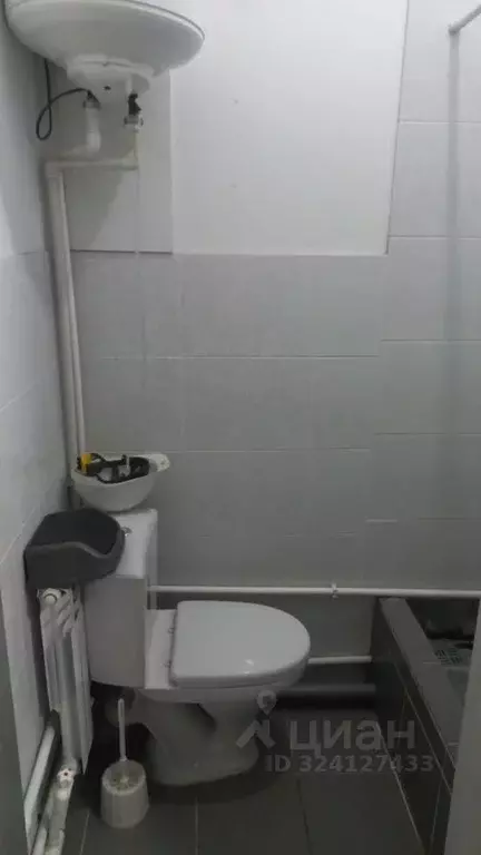 Студия Алтай, Горно-Алтайск Коммунистический просп., 109/5 (16.0 м) - Фото 2