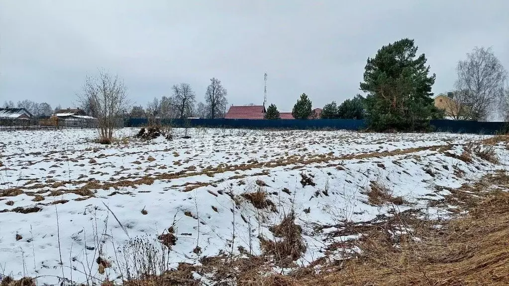 Участок в Владимирская область, Ковровский район, Новосельское с/пос, ... - Фото 1