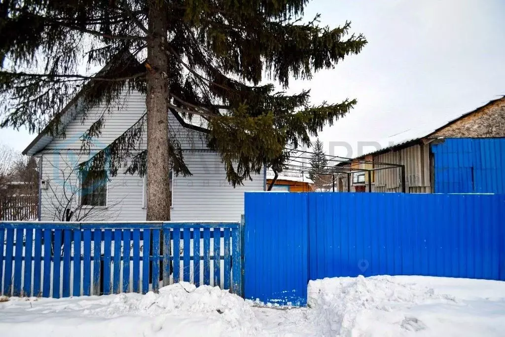 Дом в Омская область, Омск Космос СНТ, аллея 3-я, 158 (54 м) - Фото 1