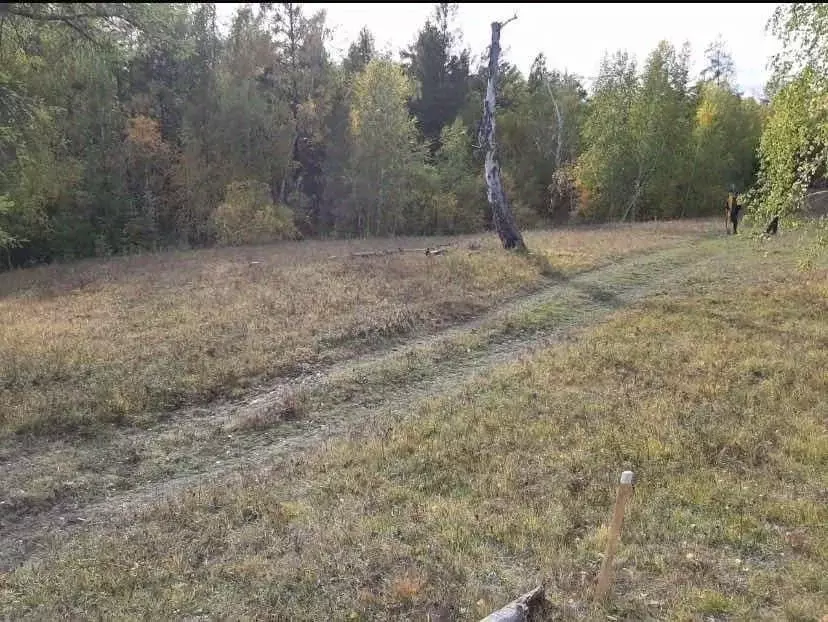 Участок в Саха (Якутия), Якутск городской округ, с. Маган  (8.0 сот.) - Фото 1