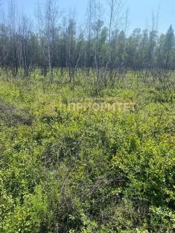 Участок в Саха (Якутия), Якутск Вилюйский тракт (7.7 сот.) - Фото 1