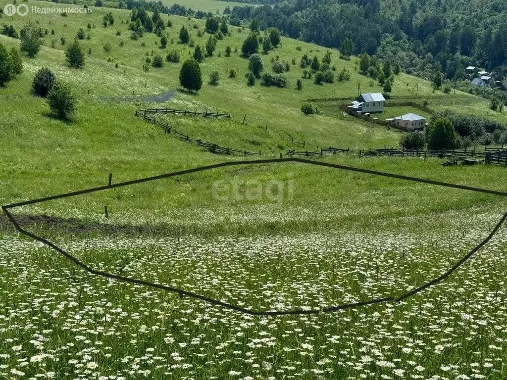 Участок в Майминский район, село Кызыл-Озек (9.5 м) - Фото 1