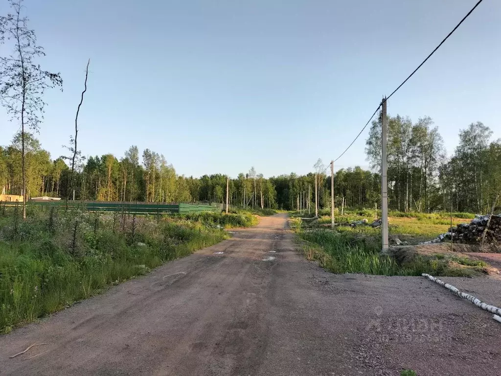 Участок в Ленинградская область, Кировский район, Синявинское ... - Фото 0