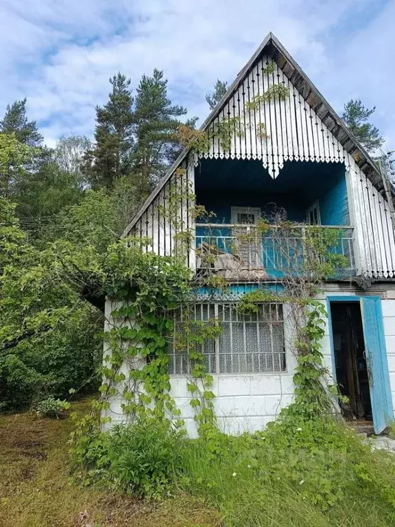 Дом в Ленинградская область, Кингисеппский район, Ивангородское ... - Фото 0