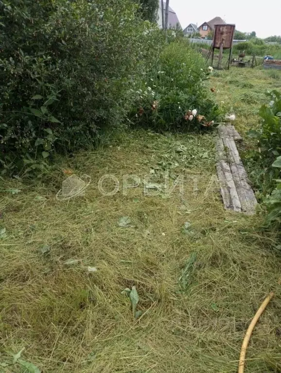 Участок в Тюменская область, Тюмень Лаванда садовое товарищество,  ... - Фото 1