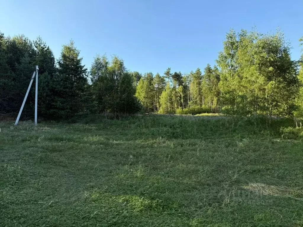 Участок в Вологодская область, Череповецкий район, д. Песье  (14.0 ... - Фото 1