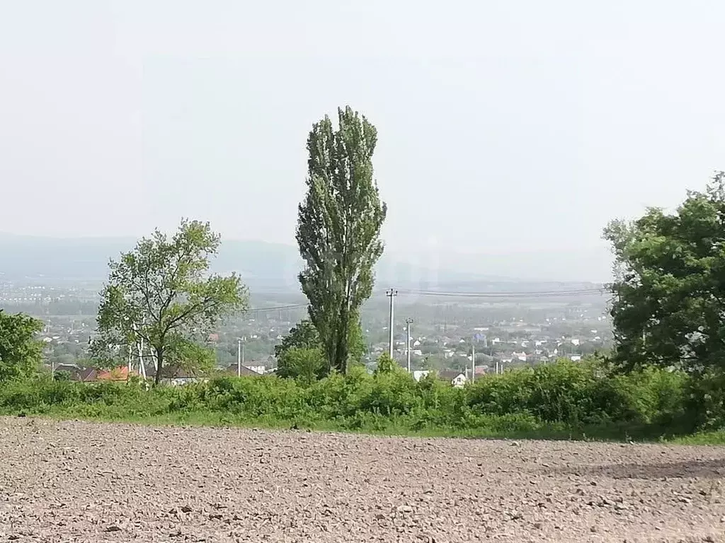 Участок в Краснодарский край, Новороссийск городской округ, ... - Фото 1