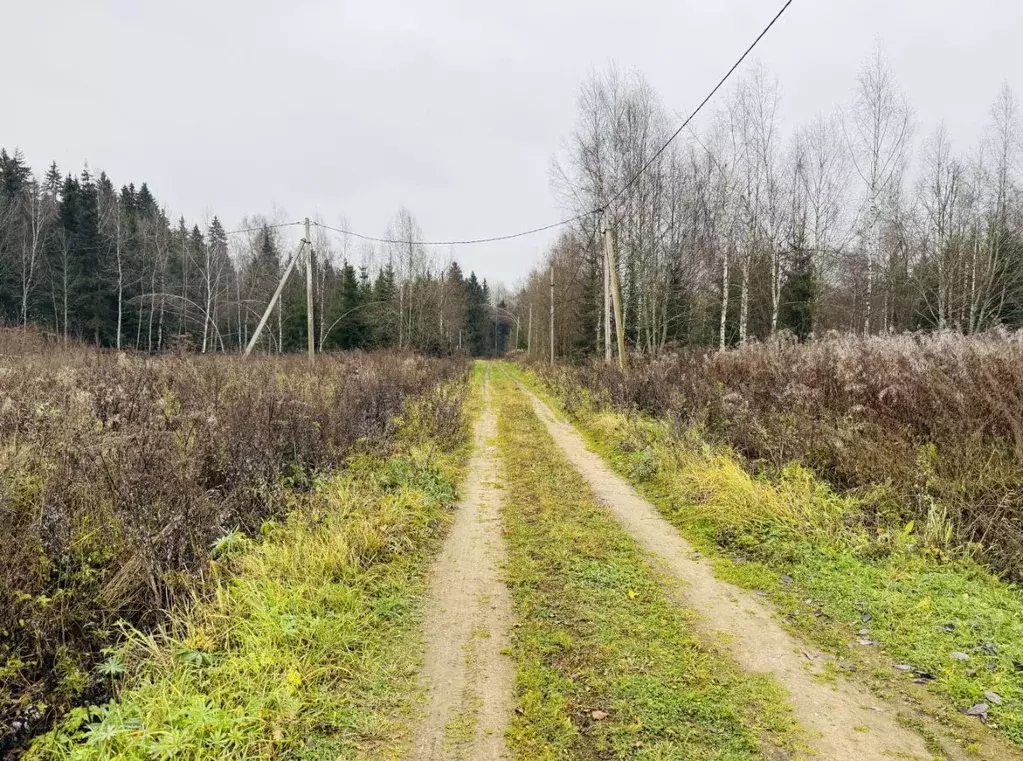 Участок в Московская область, Клин городской округ, Подсолнухи кп ул. ... - Фото 2