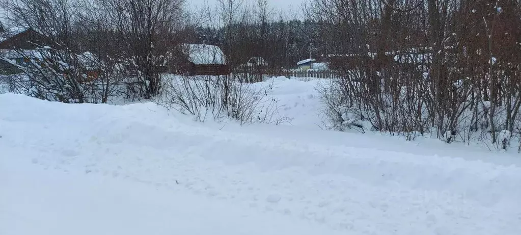 Участок в Архангельская область, Вычегодский рп ул. Привокзальная, 75 ... - Фото 2