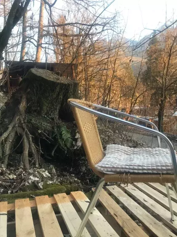 Дом в Краснодарский край, Сочи Красная Поляна пгт, ул. Защитников ... - Фото 1