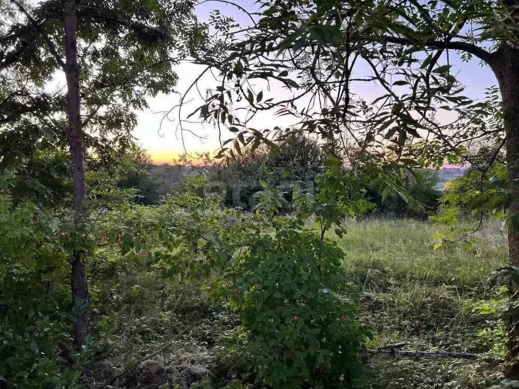 Участок в Белгородская область, Яковлевский муниципальный округ, ... - Фото 1