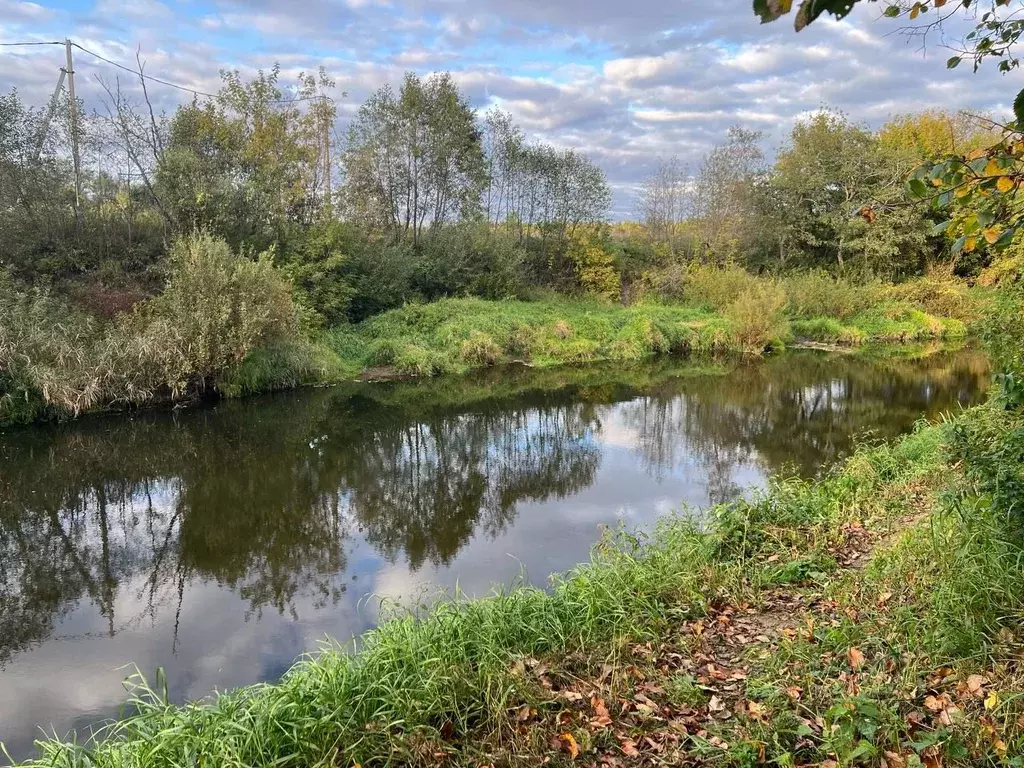 Участок в Московская область, Талдомский городской округ, д. Малое ... - Фото 0