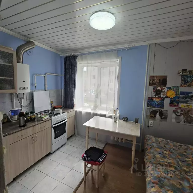 1-к кв. Новгородская область, Старая Русса ул. Александровская, 35 ... - Фото 0