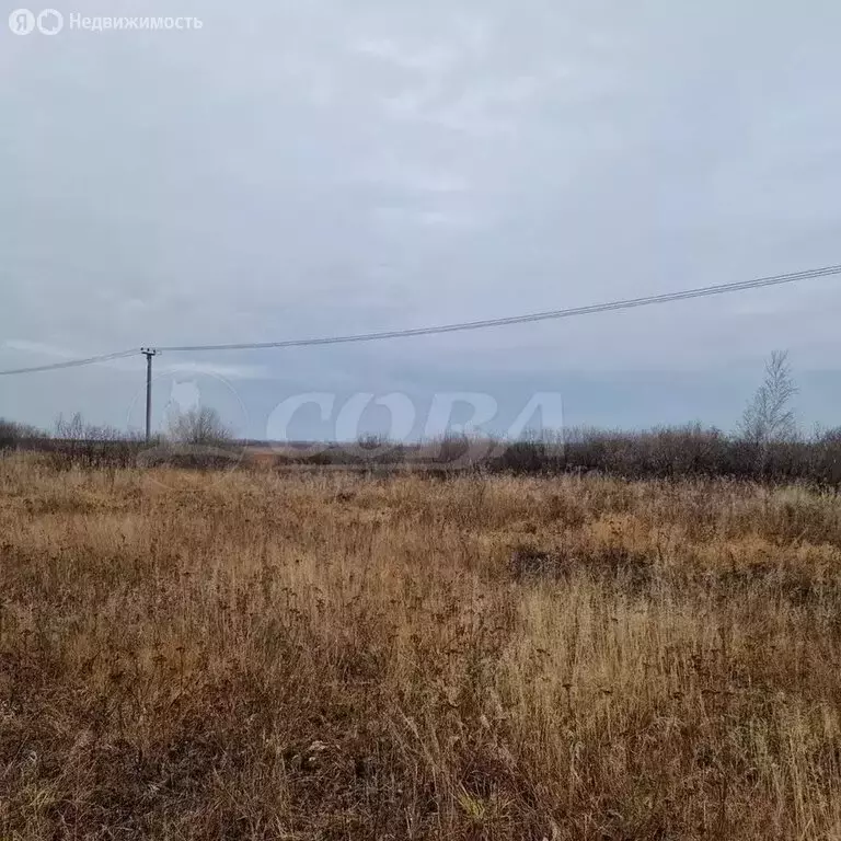 Участок в Тюменская область, село Исетское (25.6 м) - Фото 1