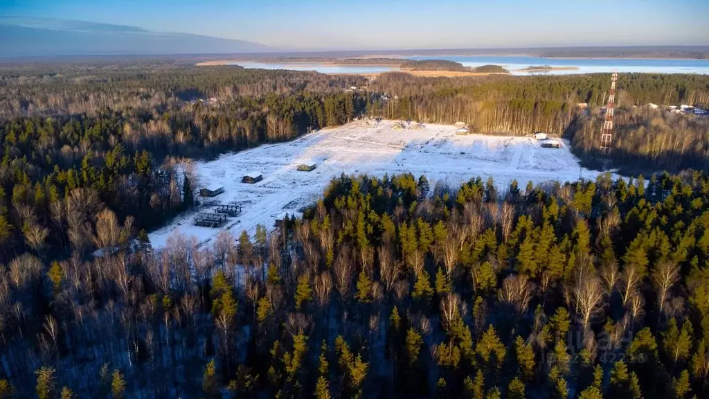Участок в Ленинградская область, Приозерский район, Красноозерное ... - Фото 2