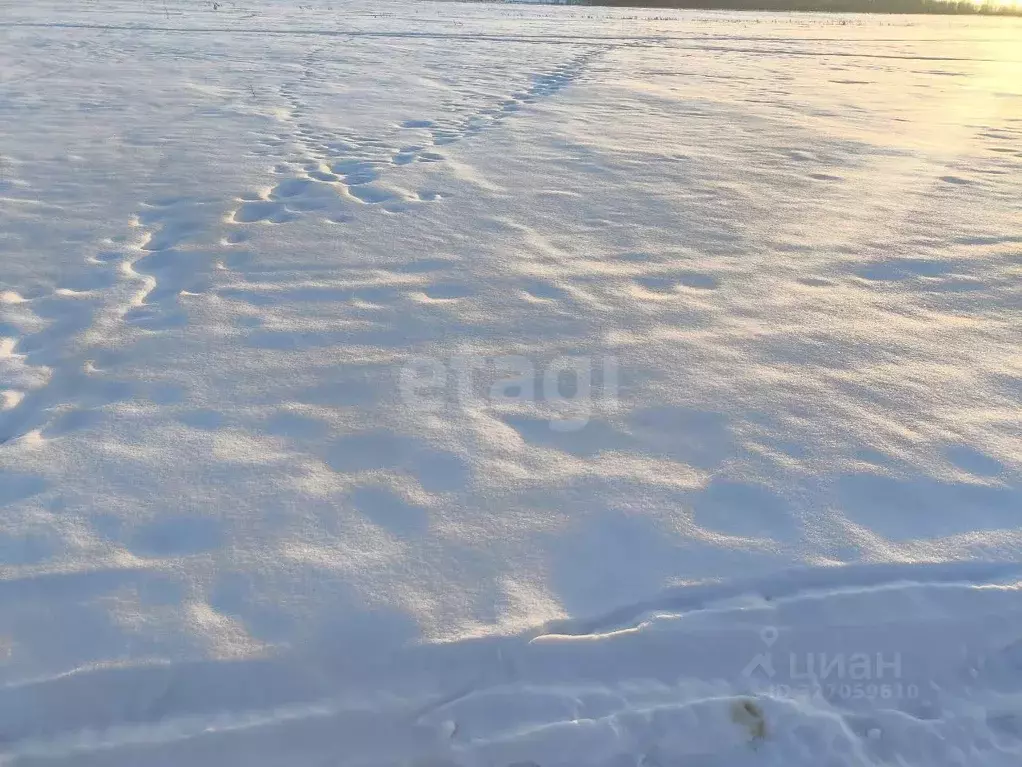 Участок в Челябинская область, Аргаяшский муниципальный округ, д. ... - Фото 1