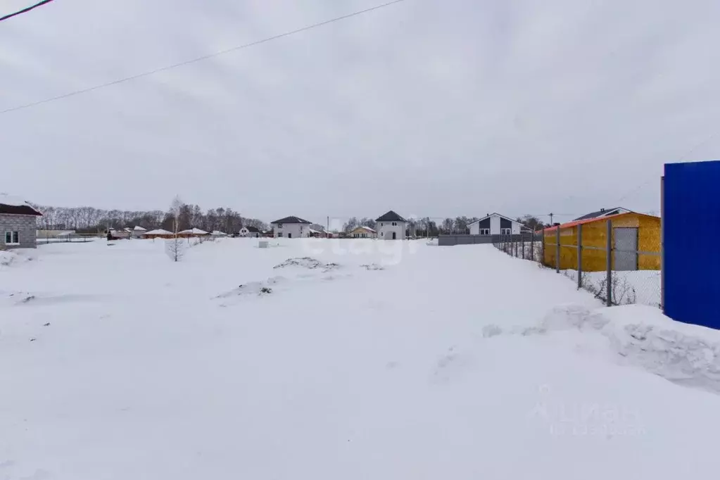 Участок в Новосибирская область, Новосибирский район, Морской ... - Фото 0