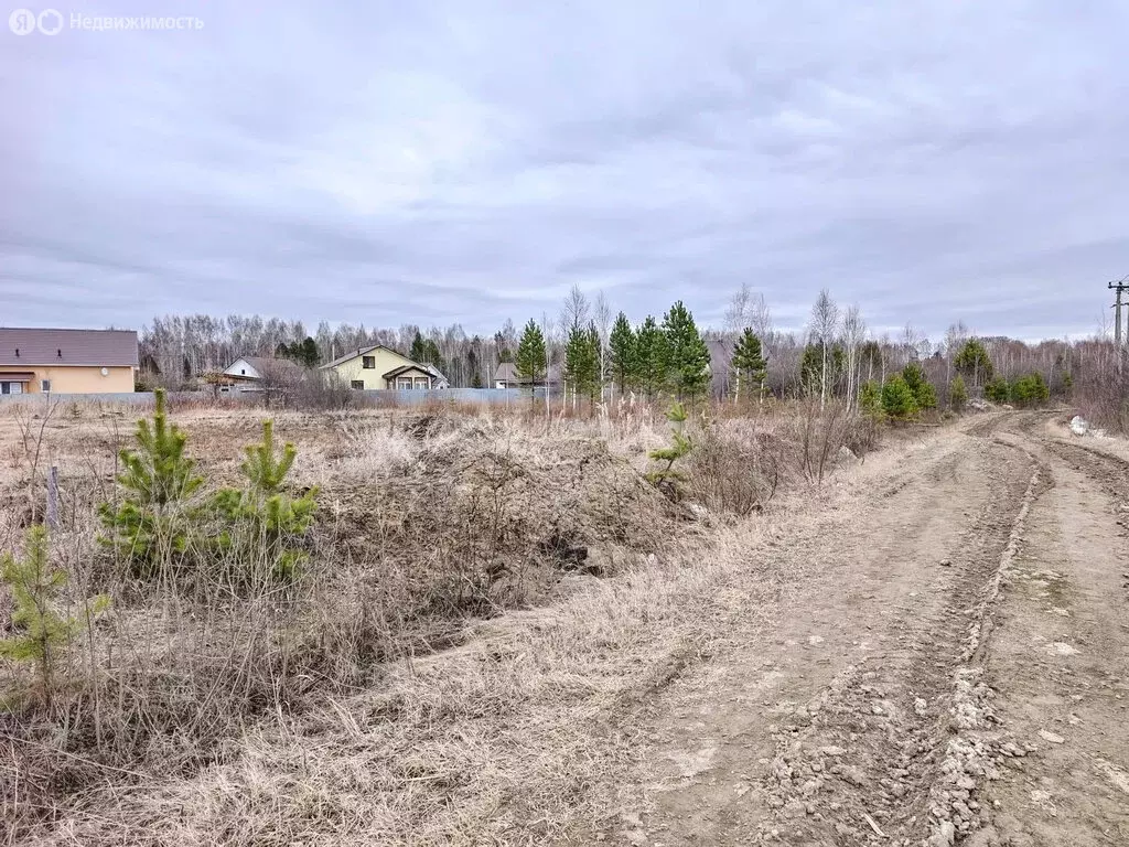 Участок в Тюменская область, Нижнетавдинский муниципальный округ, ... - Фото 2