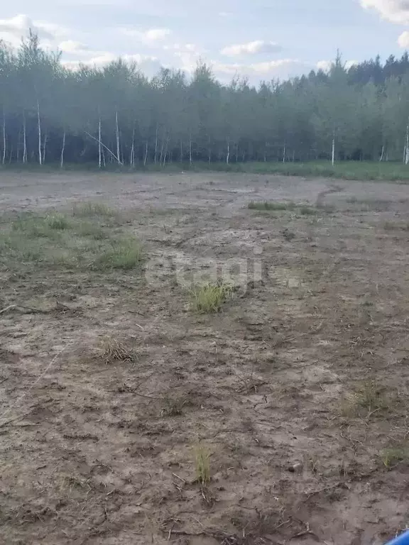 Участок в Московская область, Чехов городской округ, д. Чепелево 19 ... - Фото 0