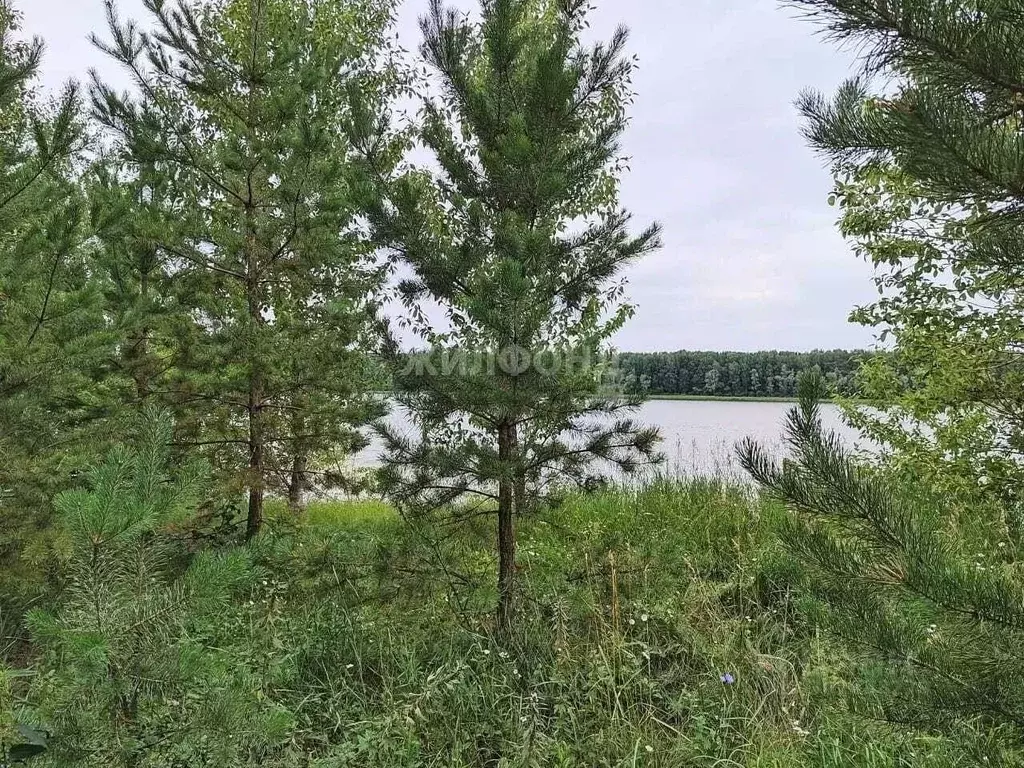 Дом в Новосибирская область, Ордынский район, д. Милованово Береговая ... - Фото 0