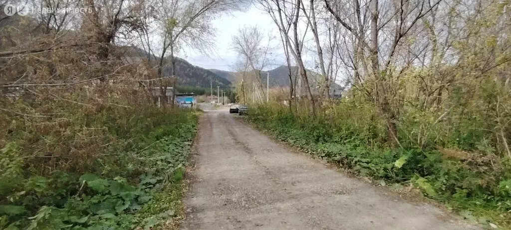 Участок в Усть-Муны, Берёзовая улица (10 м) - Фото 1