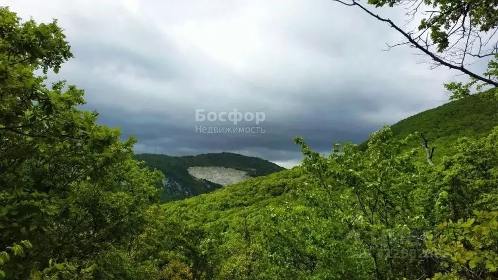 Участок в Крым, Феодосия городской округ, с. Краснокаменка ул. ... - Фото 0