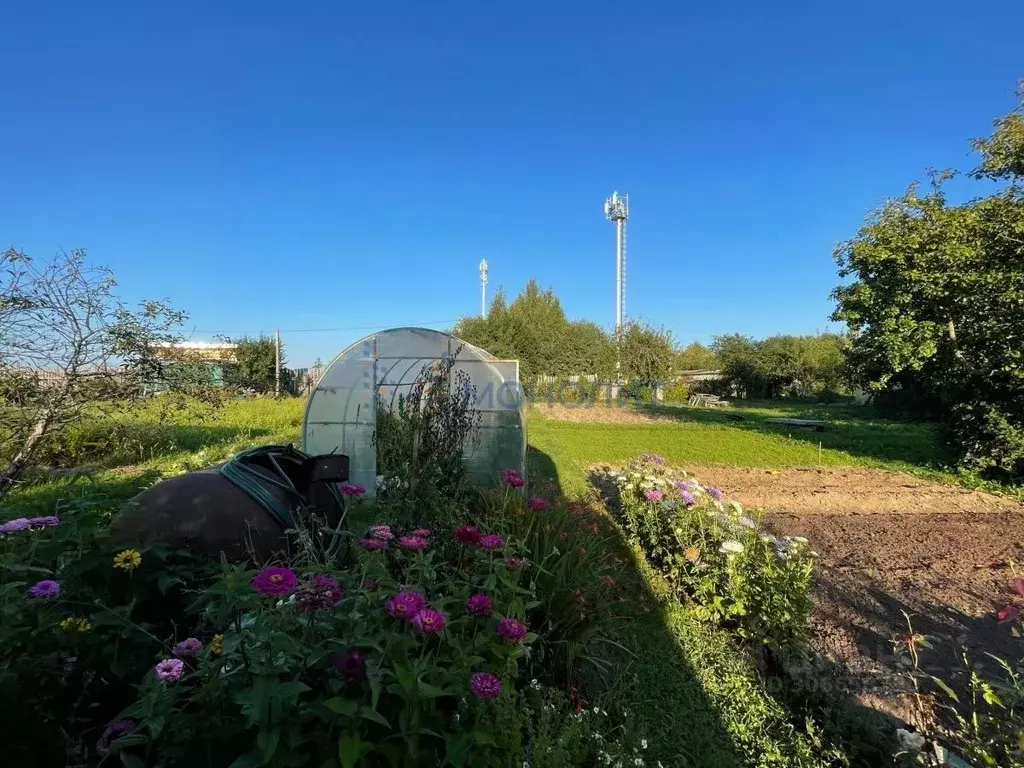 Участок в Нижегородская область, Городец Виктория садоводческое ... - Фото 1