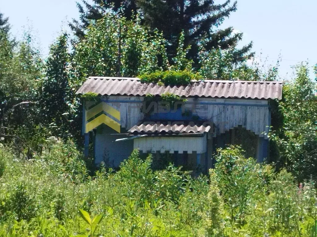 Дом в Омская область, Омск СОСН Урожай-1 тер., аллея 5-я (10 м) - Фото 0