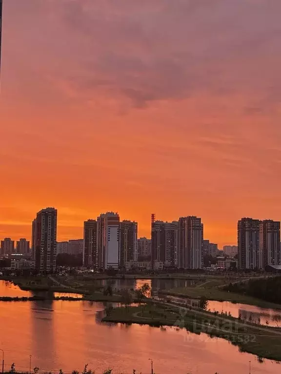 2-к кв. Санкт-Петербург ул. Димитрова, 39к1 (60.5 м) - Фото 1