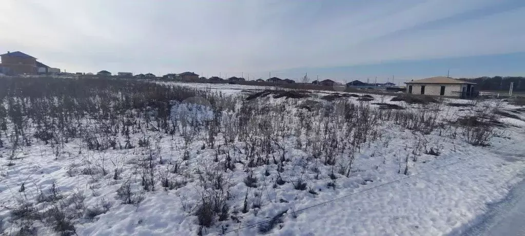 Участок в Белгородская область, Белгородский район, с. Стрелецкое пер. ... - Фото 2