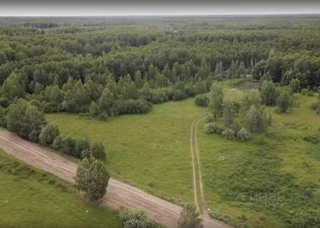 Участок в Тюменская область, Нижнетавдинский район, пос. Кунчур ул. . - Фото 0