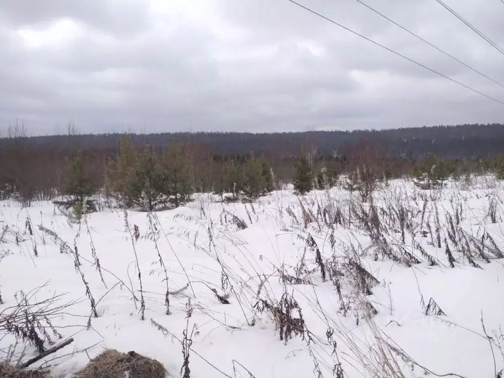 Участок в Иркутская область, Иркутский муниципальный округ, Маркова ... - Фото 2