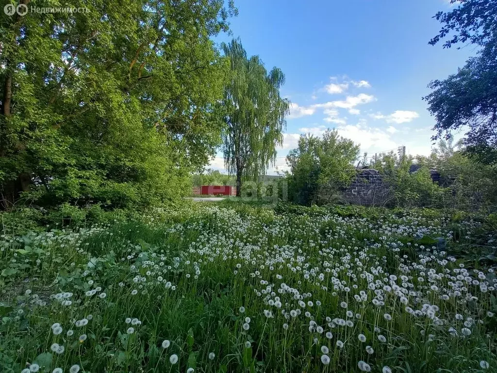 Участок в деревня Березино, Октябрьская улица (25 м) - Фото 1