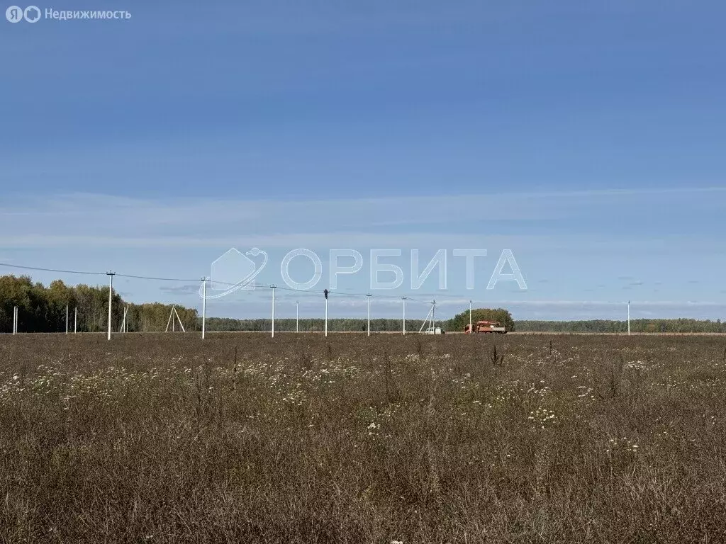 Участок в Тюменский муниципальный округ, КП Новая Горьковка (400 м) - Фото 2