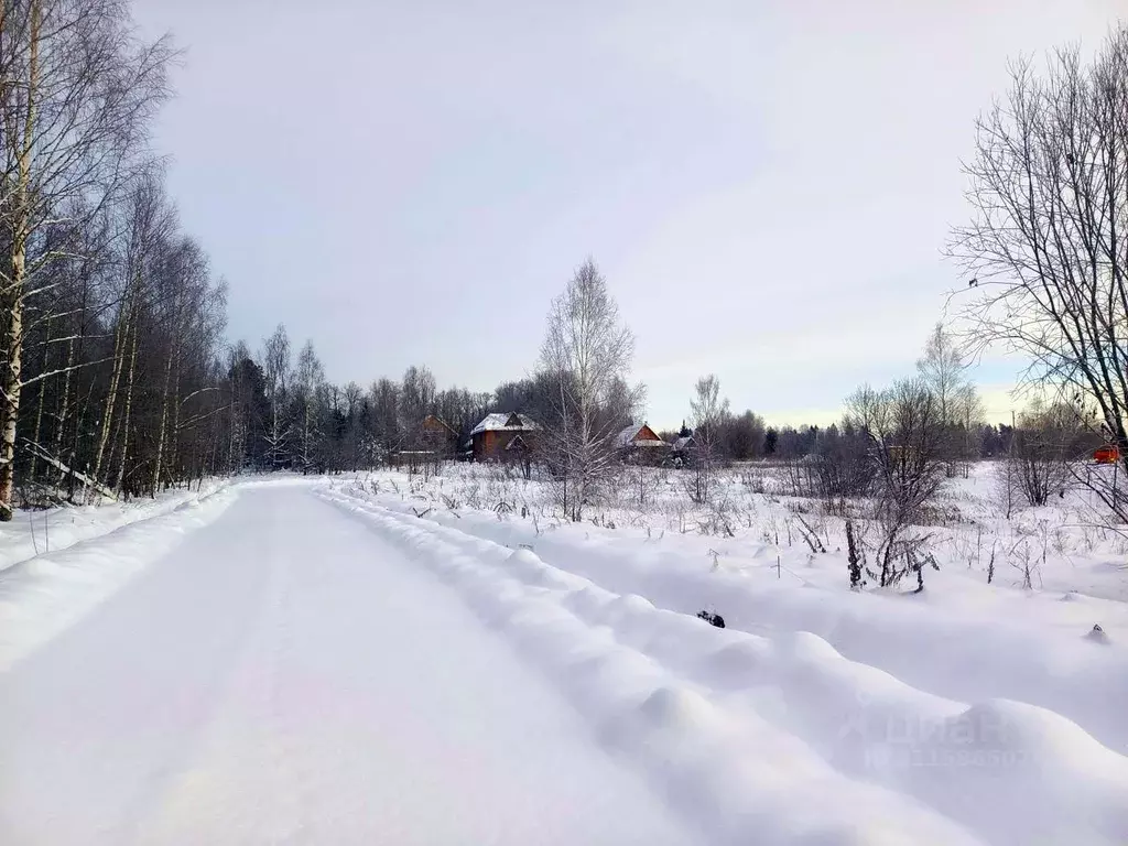 Участок в Московская область, Дмитровский городской округ, Форест Клаб ... - Фото 1