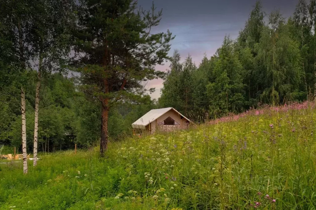 Дом в Карелия, Питкярантский район, Харлуское с/пос  (20 м) - Фото 0